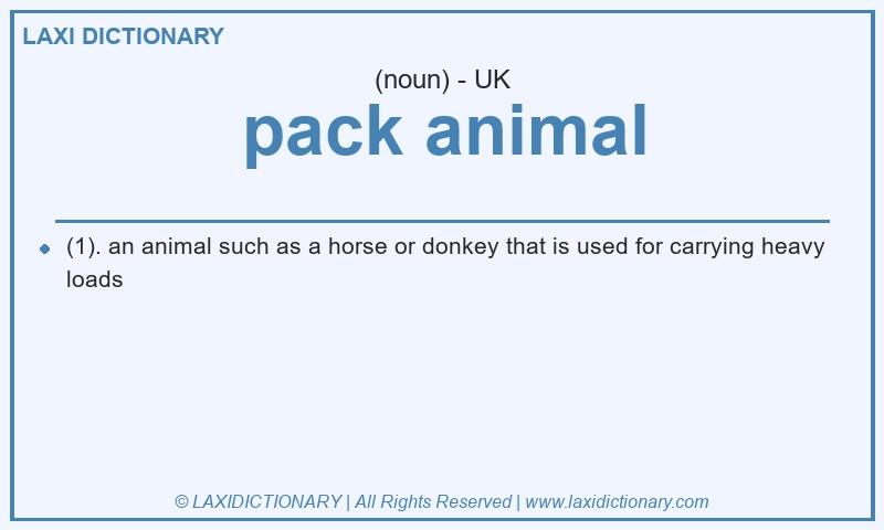 Definition pack animal in British English