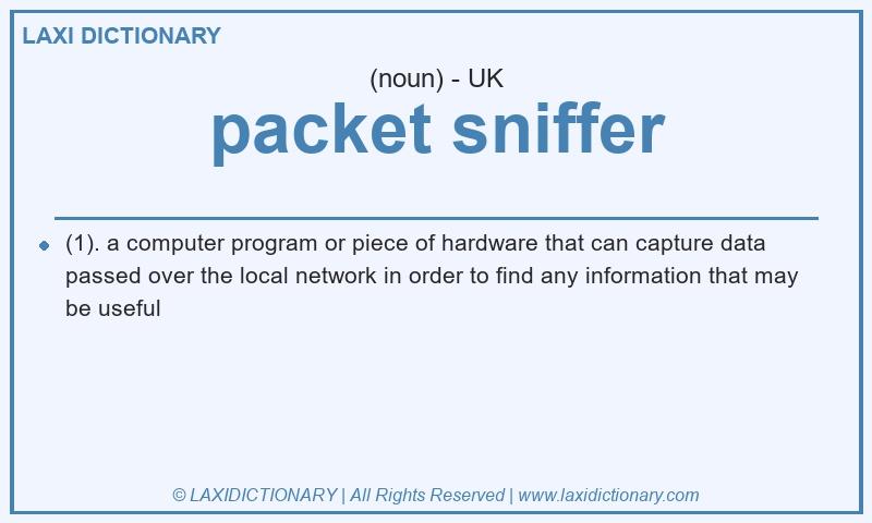 Definition packet sniffer in British English