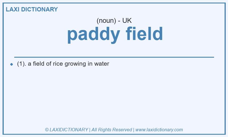 Definition paddy field in British English