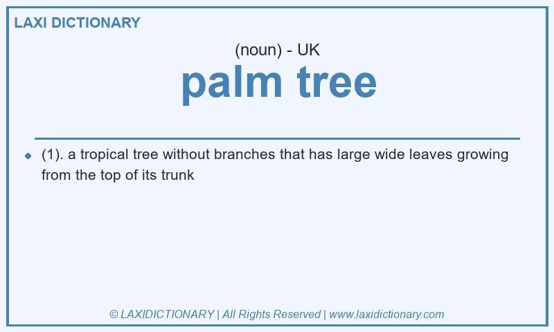 Definition palm tree in British English