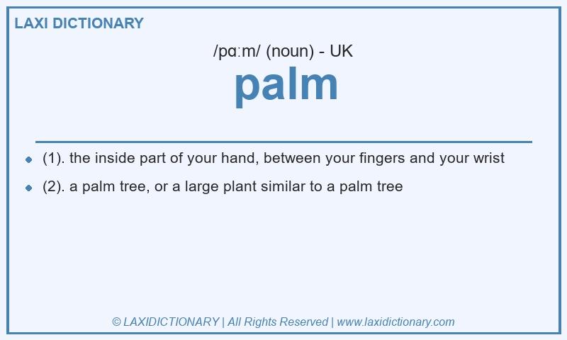 Definition palm in British English