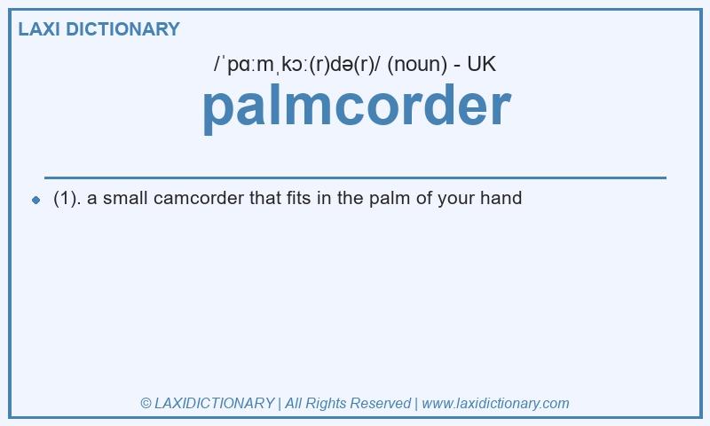 Definition palmcorder in British English