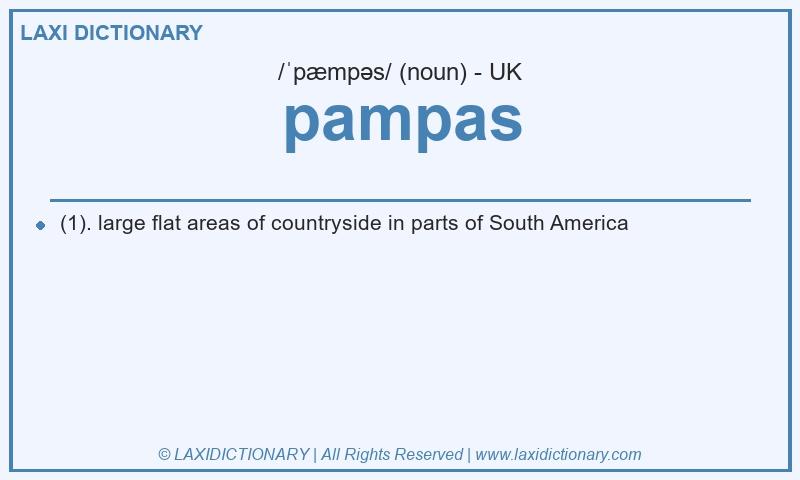 Definition pampas in British English