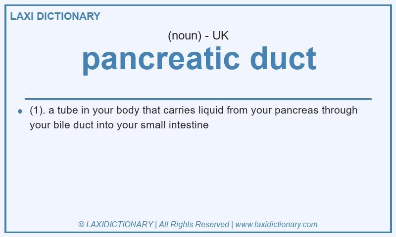 Definition pancreatic duct in British English