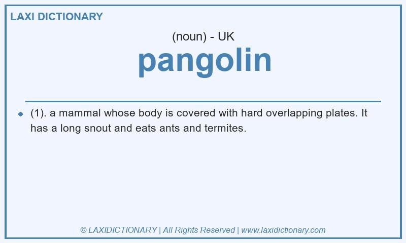 Definition pangolin in British English
