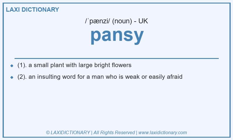 Definition pansy in British English