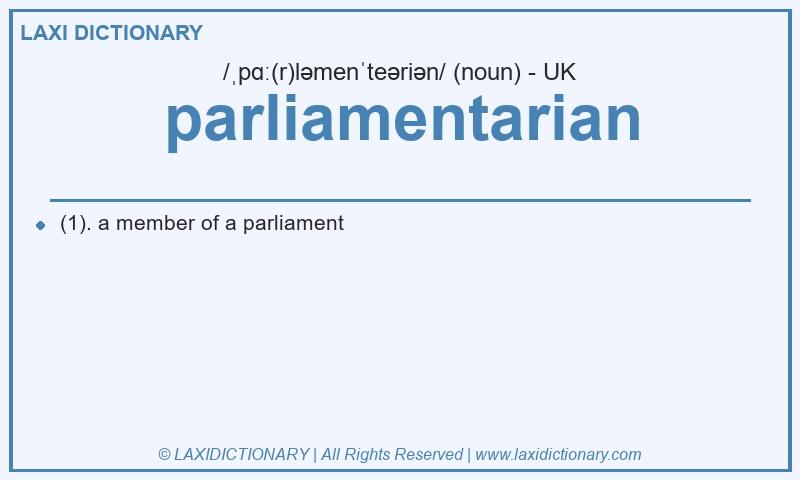 Definition parliamentarian in British English