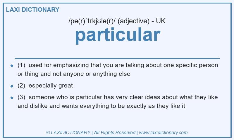 Definition particular in British English