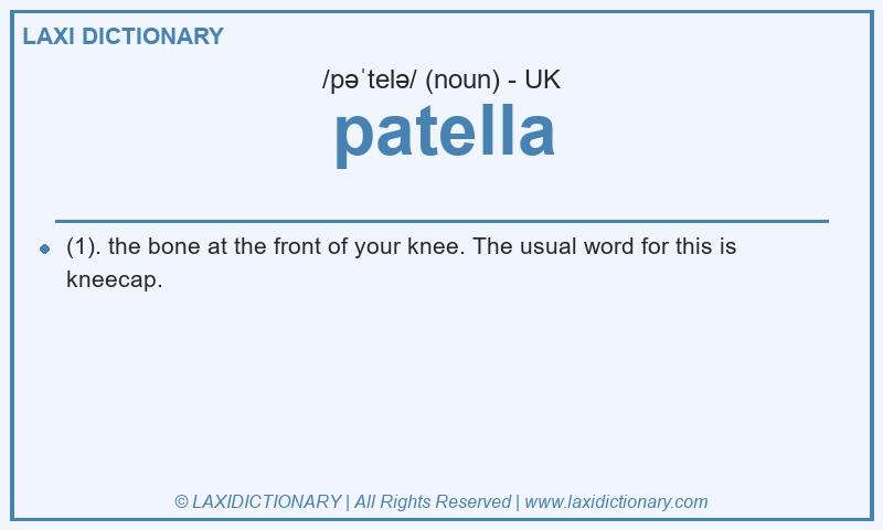 Definition patella in British English