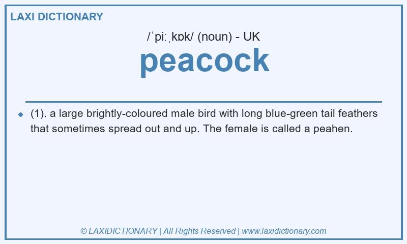Definition peacock in British English