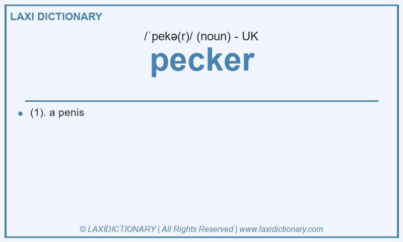 Definition pecker in British English