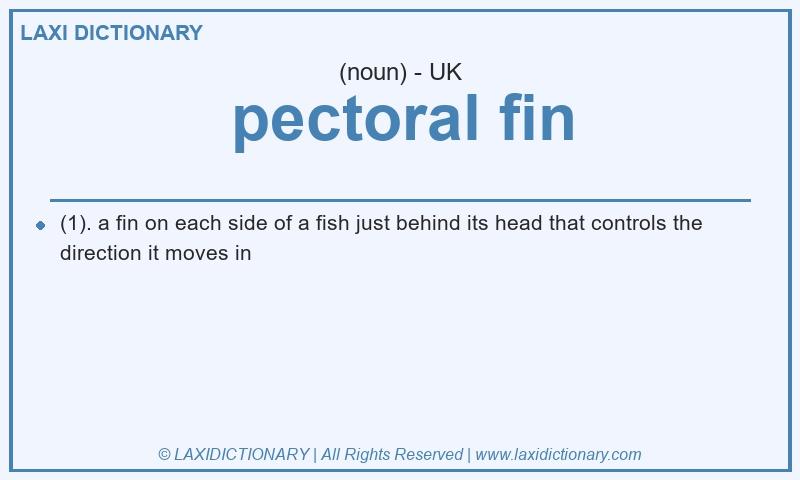 Definition pectoral fin in British English