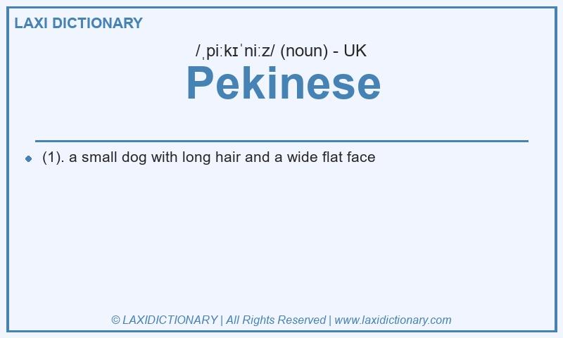 Definition Pekinese in British English