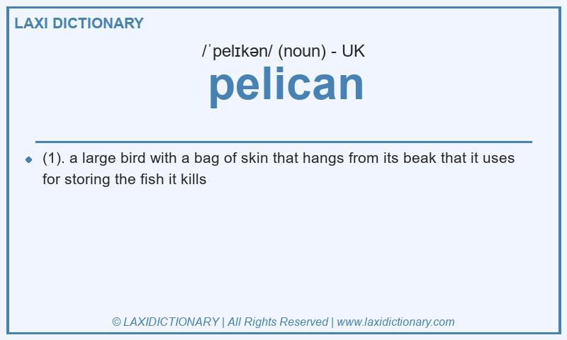 Definition pelican in British English