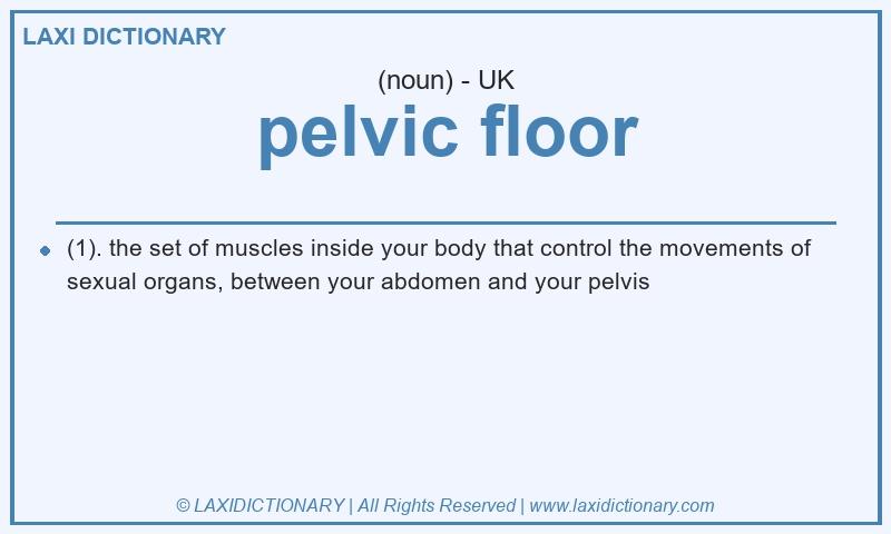 Definition pelvic floor in British English