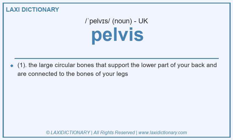 Definition pelvis in British English