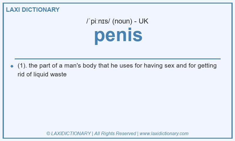Definition penis in British English