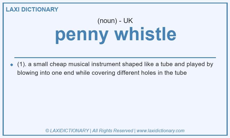 Definition penny whistle in British English
