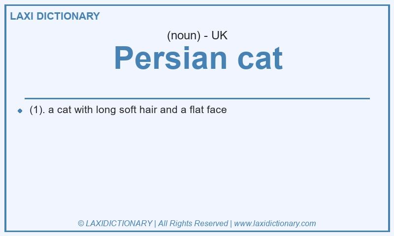 Definition Persian cat in British English