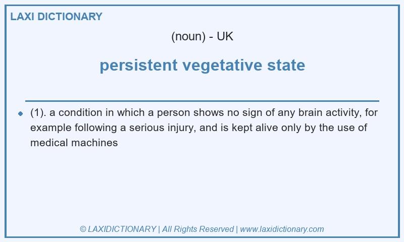 Definition persistent vegetative state in British English