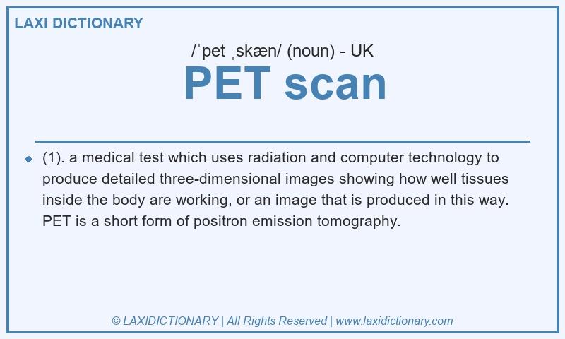 Definition PET scan in British English