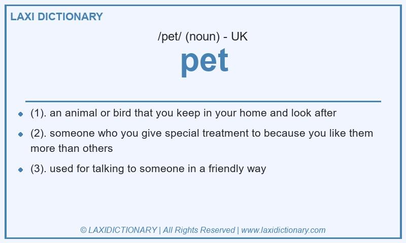 Definition pet in British English