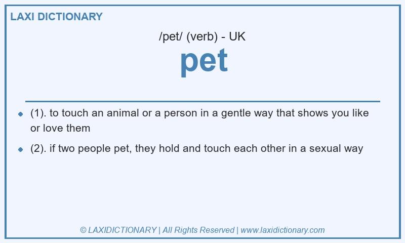 Definition pet in British English