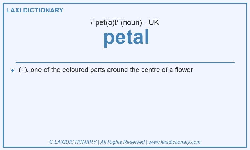 Definition petal in British English