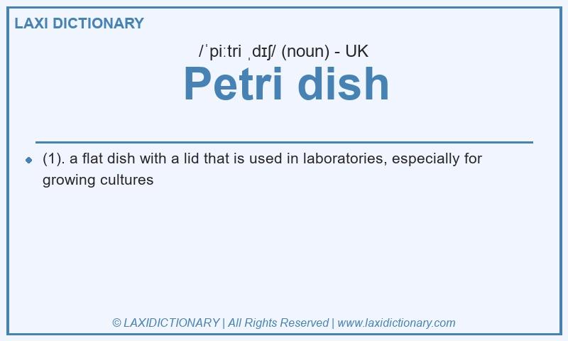 Definition Petri dish in British English