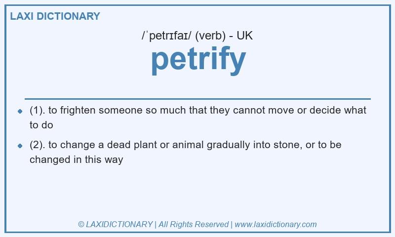 Definition petrify in British English