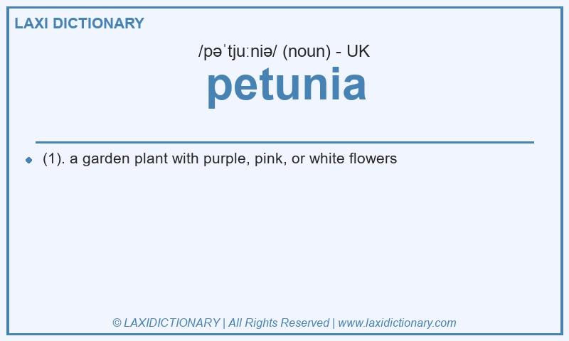 Definition petunia in British English