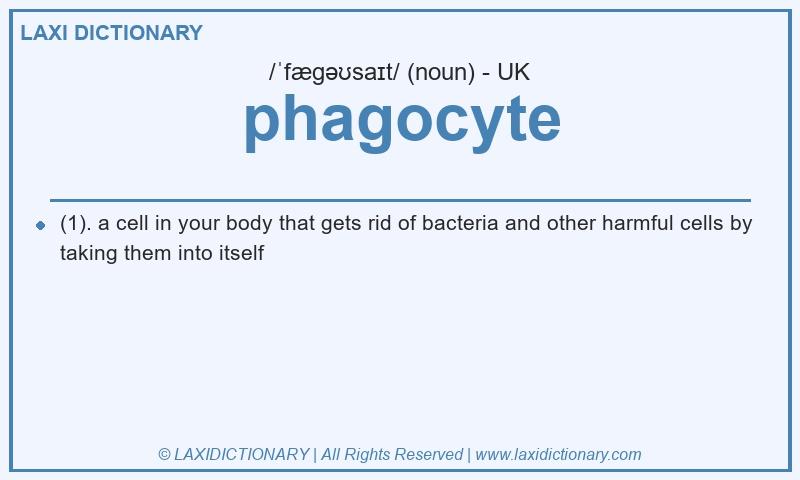 Definition phagocyte in British English