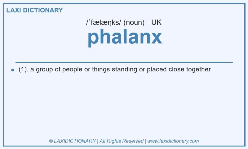 Definition phalanx in British English