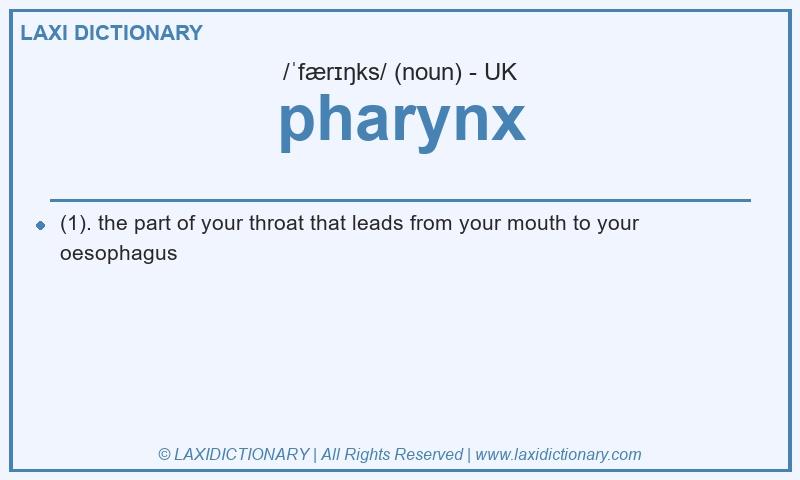 Definition pharynx in British English