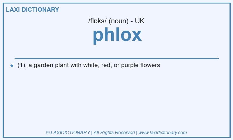 Definition phlox in British English