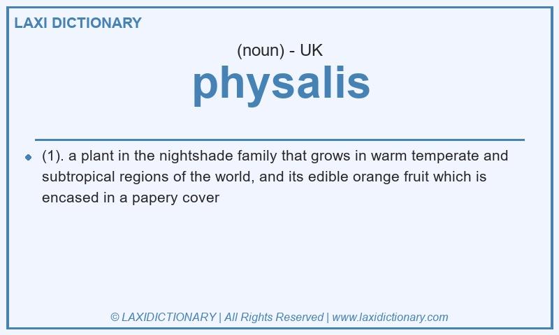 Definition physalis in British English
