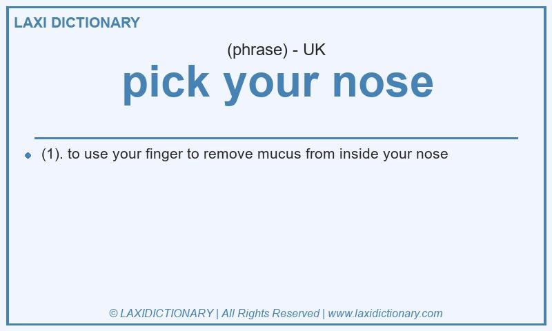 Definition pick your nose in British English