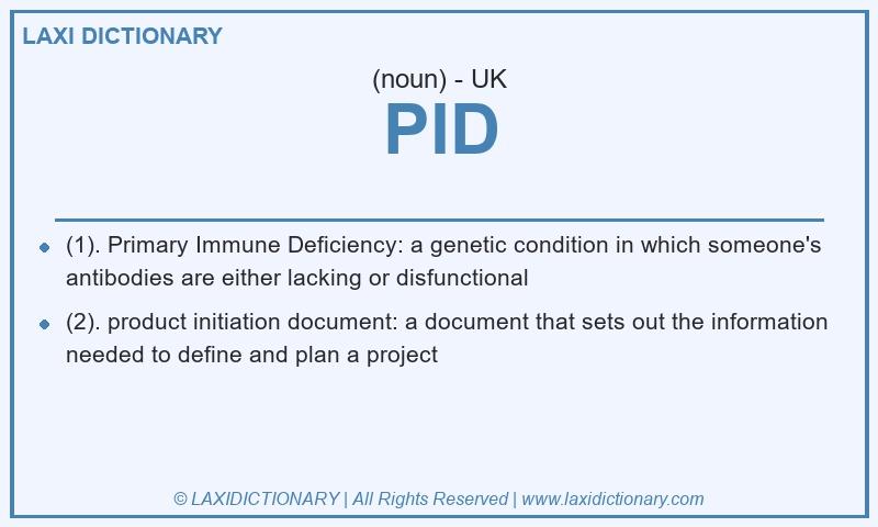 Definition PID in British English