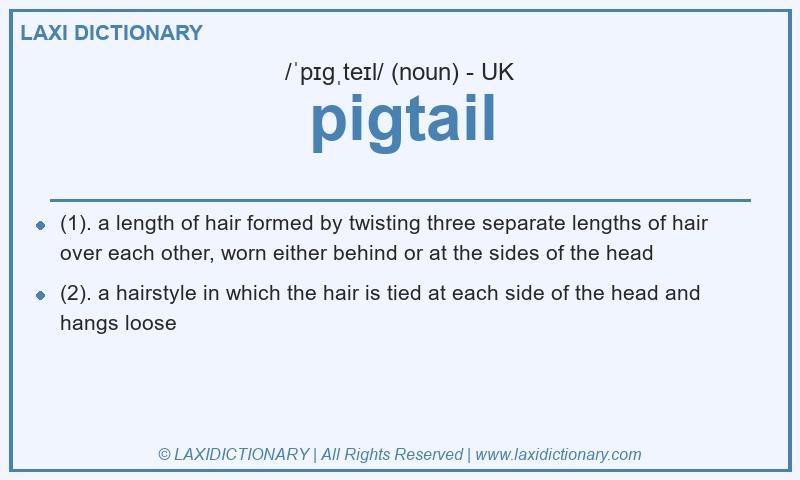 Definition pigtail in British English