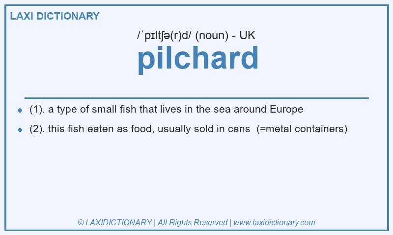 Definition pilchard in British English