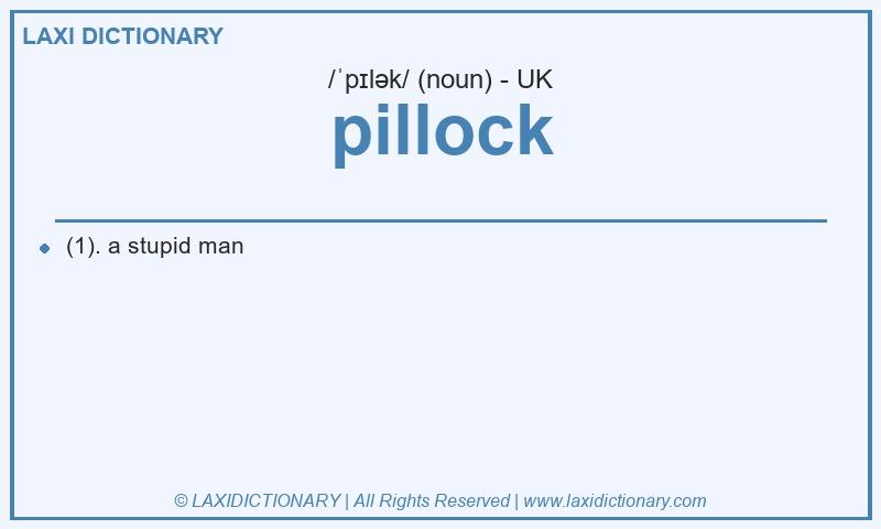 Definition pillock in British English