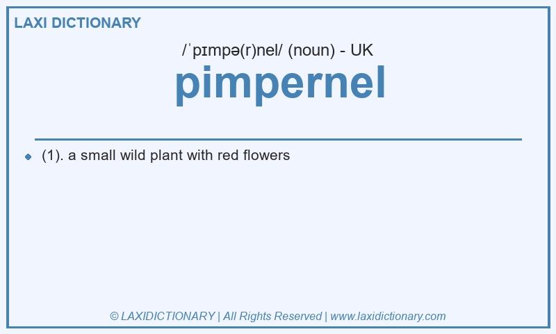Definition pimpernel in British English
