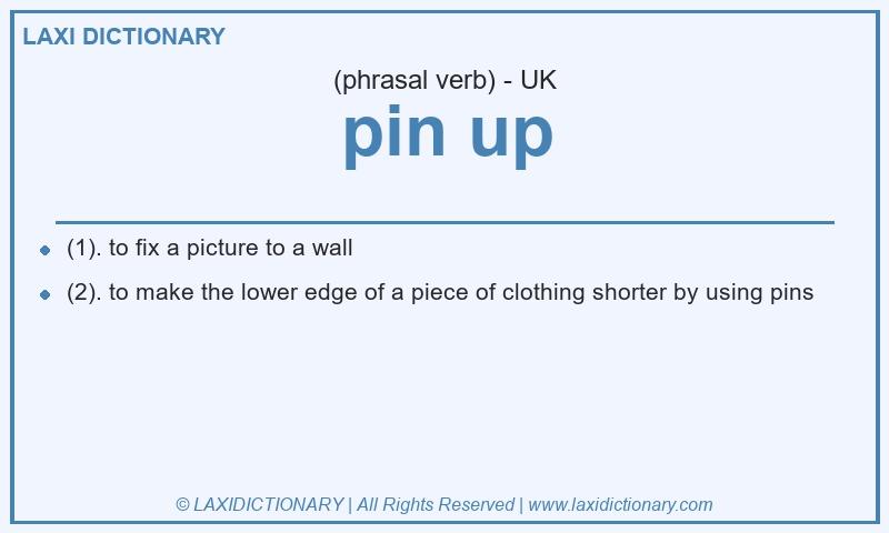 Definition pin up in British English