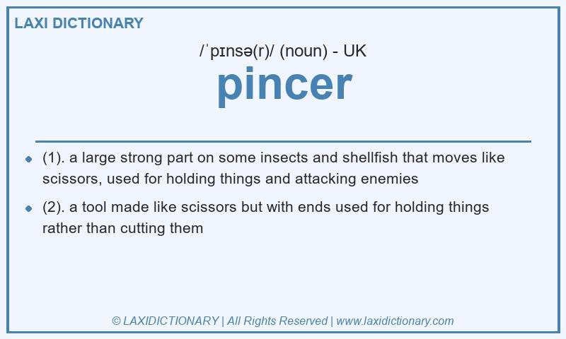 Definition pincer in British English