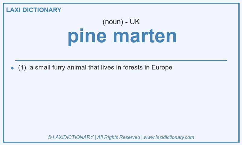 Definition pine marten in British English