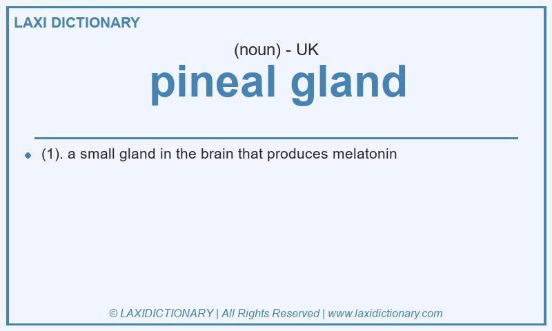 Definition pineal gland in British English