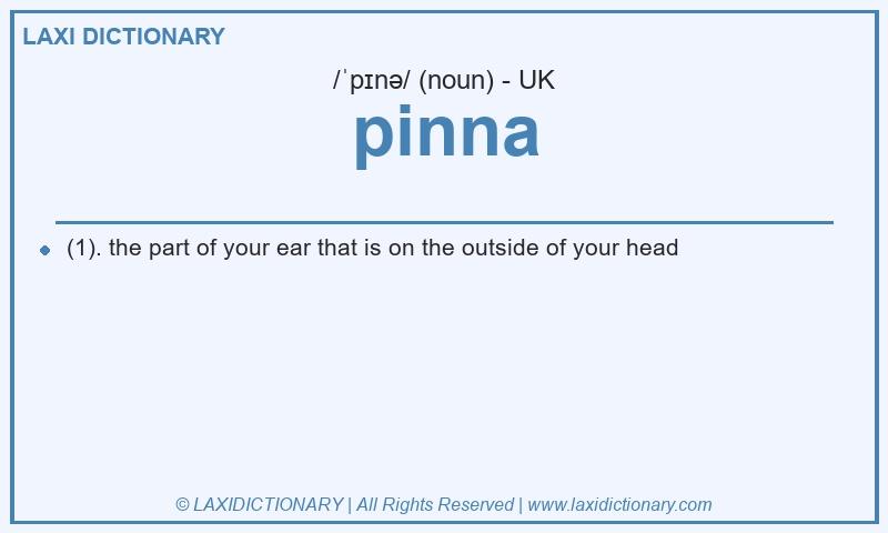 Definition pinna in British English