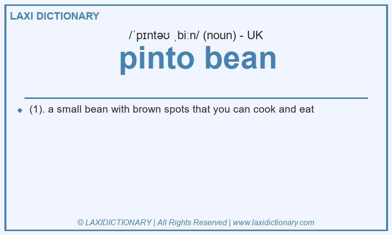 Definition pinto bean in British English