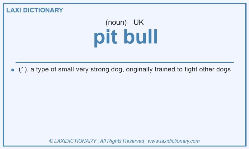 Definition pit bull in British English