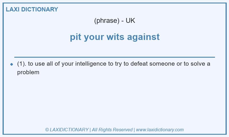 Definition pit your wits against in British English